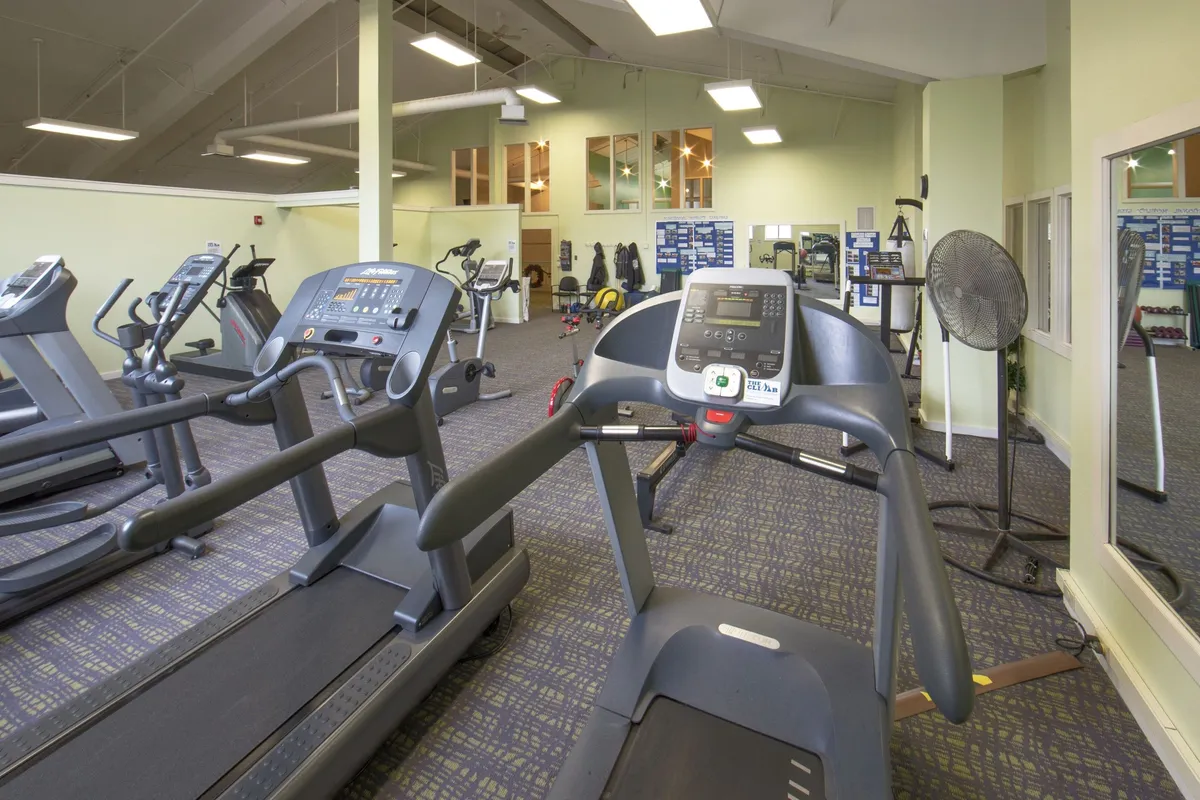 A dynamic fitness center equipped with treadmills, exercise bikes, mirrors, and a weight station. A few guests are seen exercising, reflecting an active, motivating environment ideal for maintaining wellness routines.